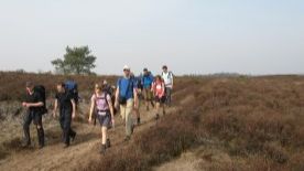 Spring Reizen tweet media