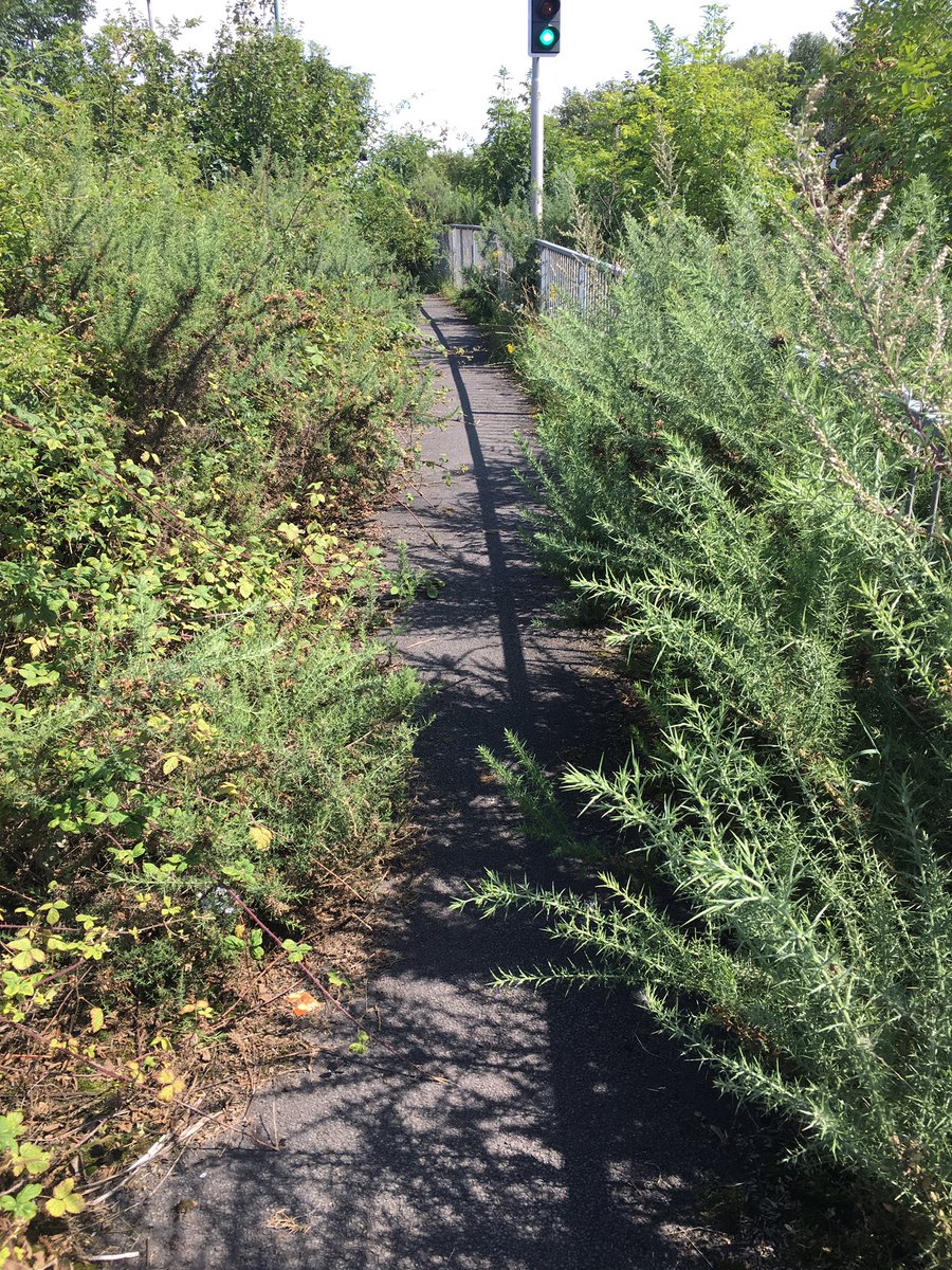 ianodonnell's tweet image. This is why cycling on #cyclepaths is such a pain in UK ! Literally in this case as I first of all got scraped by gorse then it just ended leaving me to hoike my bike over a barrier onto a major roundabout. Come on @SolihullCouncil you can do better, one to look at @ShanazeReade