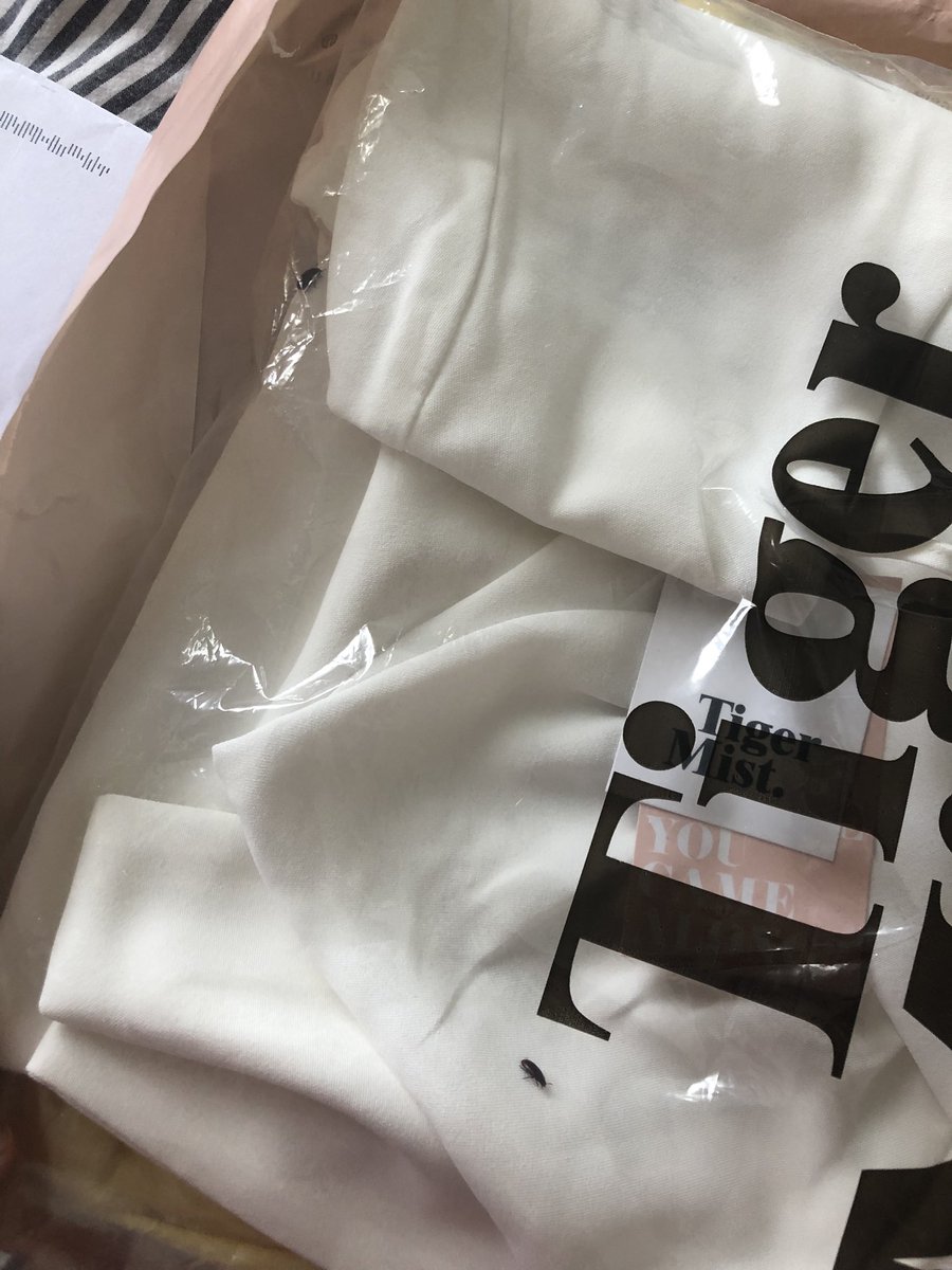 grace_copestake's tweet photo. ALWAYS CHECK YOUR PARCELS BEFORE OPENING THEM! &amp; never order from Tiger Mist. Found a bugs nest in mine🤮🤮 #tigermist https://t.co/qMIK6uK0Jw