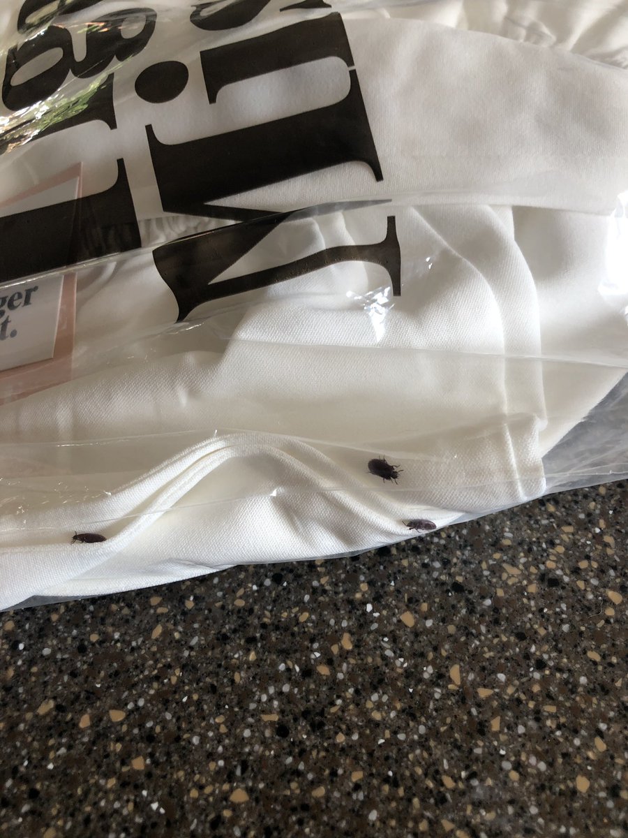 grace_copestake's tweet photo. ALWAYS CHECK YOUR PARCELS BEFORE OPENING THEM! &amp; never order from Tiger Mist. Found a bugs nest in mine🤮🤮 #tigermist https://t.co/qMIK6uK0Jw