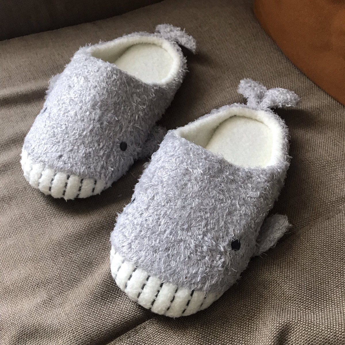 miinaw's tweet photo. 会社のスリッパ。こうた。👛
可愛すぎる〜〜
決め手となったのは尾びれ🐳
たくさん履いてあげよ〜〜
#halluci https://t.co/NnXYEoC7qS