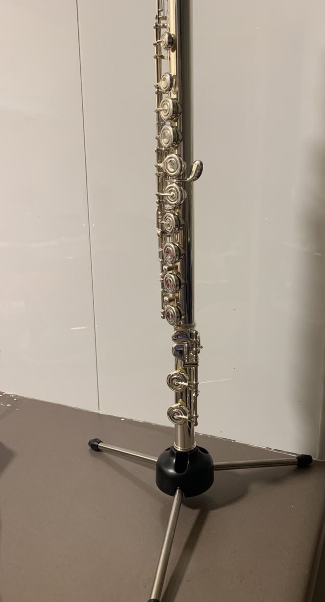 manasaau's tweet photo. See what I got #FluteStand 😅

@hamsanandi @ShrikaanthK @Amerikannadiga https://t.co/KiOeovO8VC