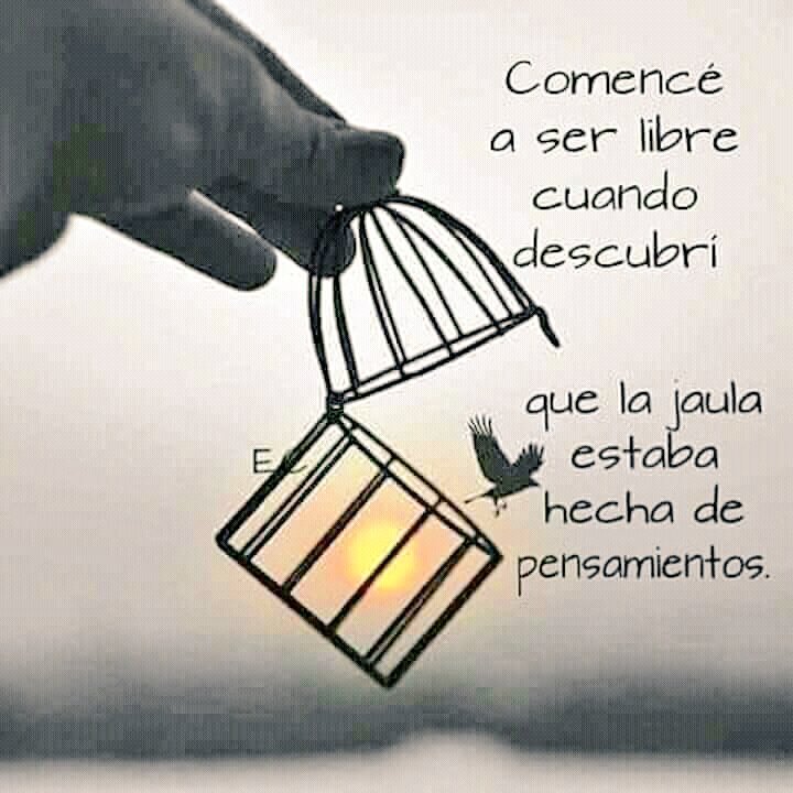 DoctoraDescanso's tweet photo. El pensamiento adecuado...es aquel que abre un camino- Rumi 

#reflexión #coaching #psicología #DraDescanso®#pensamientos #colchonescarreiro #buenmartes13

La disciplina comienza con el dominio de tus pensamientos...controla lo que piensas para controlar lo que haces https://t.co/joSqClmt0g