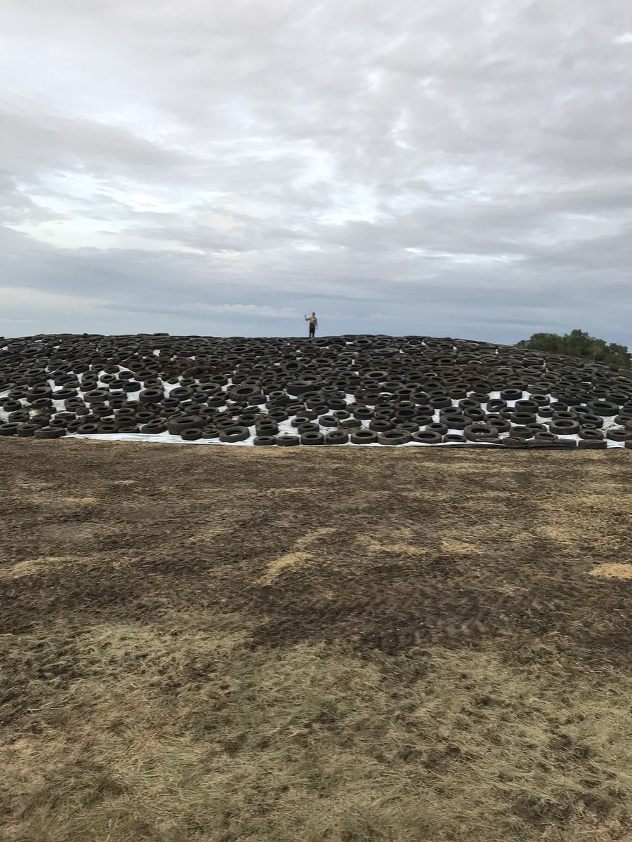 Thinking when the kids are a little bigger we can practice their math with a ‘how many tires did pa and the crew throw’ game #silage19