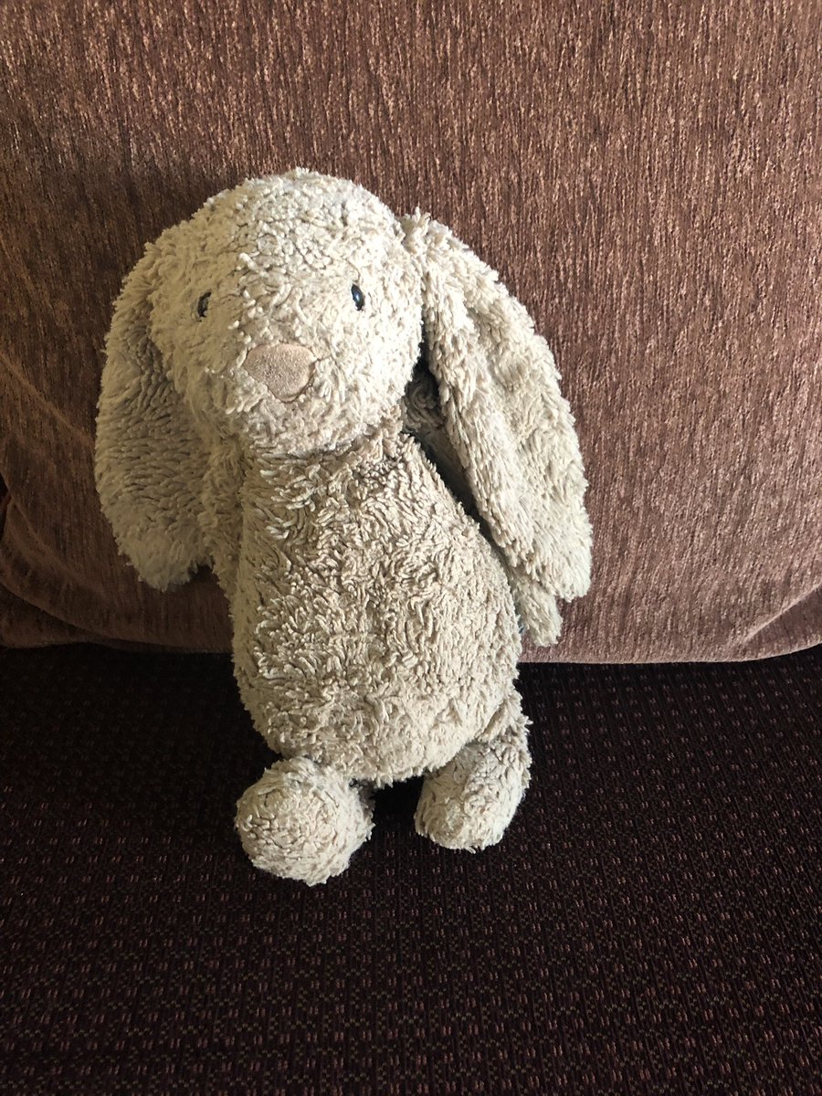 Apartotel's tweet photo. This little much-cuddled bunny was left behind in the Atlantic in Bundoran and we think she might be badly missed - DM us and we will surf her home to you! #lostbunny #cantsleepwithoutit #bundoranbunny https://t.co/V5d9MkpcUe