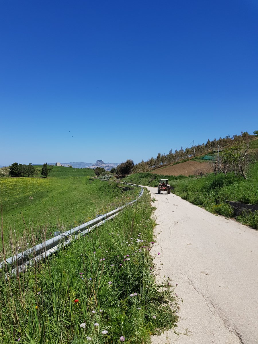 FedesMood's tweet photo. Magna Via Francigena (Sicilia)__Cammino da Palermo ad Agrigento 🎒 (apr 2018)
-Percorso da Sutera a Grotte

#magnaviafrancigena #sicilia #camminoinsicilia #pilgrimage #backpacking #hiking #adventure #nature #landscape https://t.co/9mG9WFIZcu