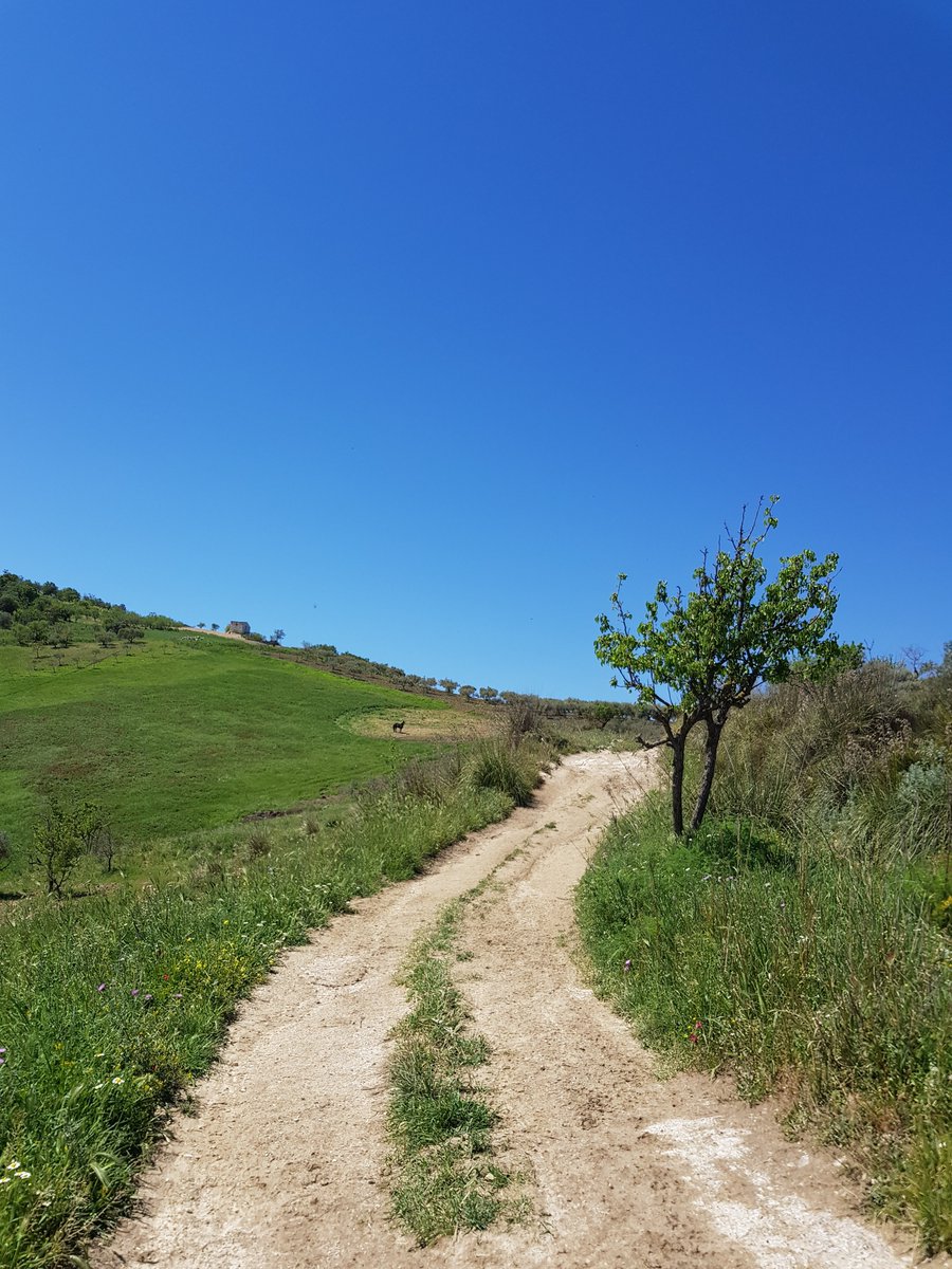 FedesMood's tweet photo. Magna Via Francigena (Sicilia)__Cammino da Palermo ad Agrigento 🎒 (apr 2018)
-Percorso da Sutera a Grotte

#magnaviafrancigena #sicilia #camminoinsicilia #pilgrimage #backpacking #hiking #adventure #nature #landscape https://t.co/9mG9WFIZcu