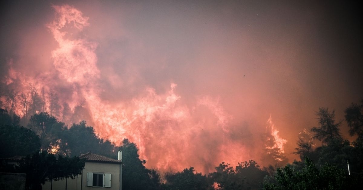 News247gr's tweet photo. Φωτιά στην Εύβοια: Δραματικές εικόνες - Συγκλονιστικά φωτογραφικά ντοκουμέντα https://t.co/FipC6wiUtv https://t.co/ywSJiIO01X
