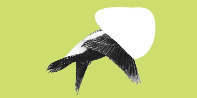 Von #Gantenbein zu #Frankenstein – <a href="/AndreasPflueger/">Andreas Pflüger</a> und Bernhard Sabel im Gespräch über die Liaison von Literatur und Hirnforschung: logbuch-suhrkamp.de/andreas-pflueg…