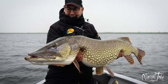 BayOutfitters's tweet photo. Vincent Toby also landed his new personal best with Salmo Sweeper. Flash sale on the entire Sweeper family with code SWEEPERFLASH. Ends in 2 days!
Shop now: https://t.co/EZGlDbIpUu
#flashsale #glider #PB #personalbest #pikefishing #pike #Salmo #NBO https://t.co/AEvh2dQulm