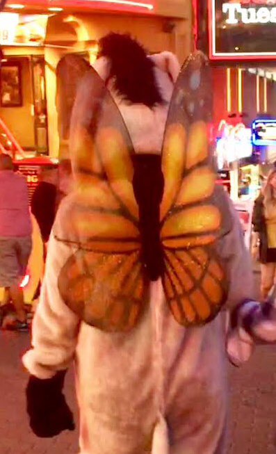SPNBunkerNA's tweet photo. Can someone please take some wings to #Vancon and get a pic of Castiel wearing them? I feel like we all deserve a #Cassbutt pic. That is all. https://t.co/kqrc9LXIjS