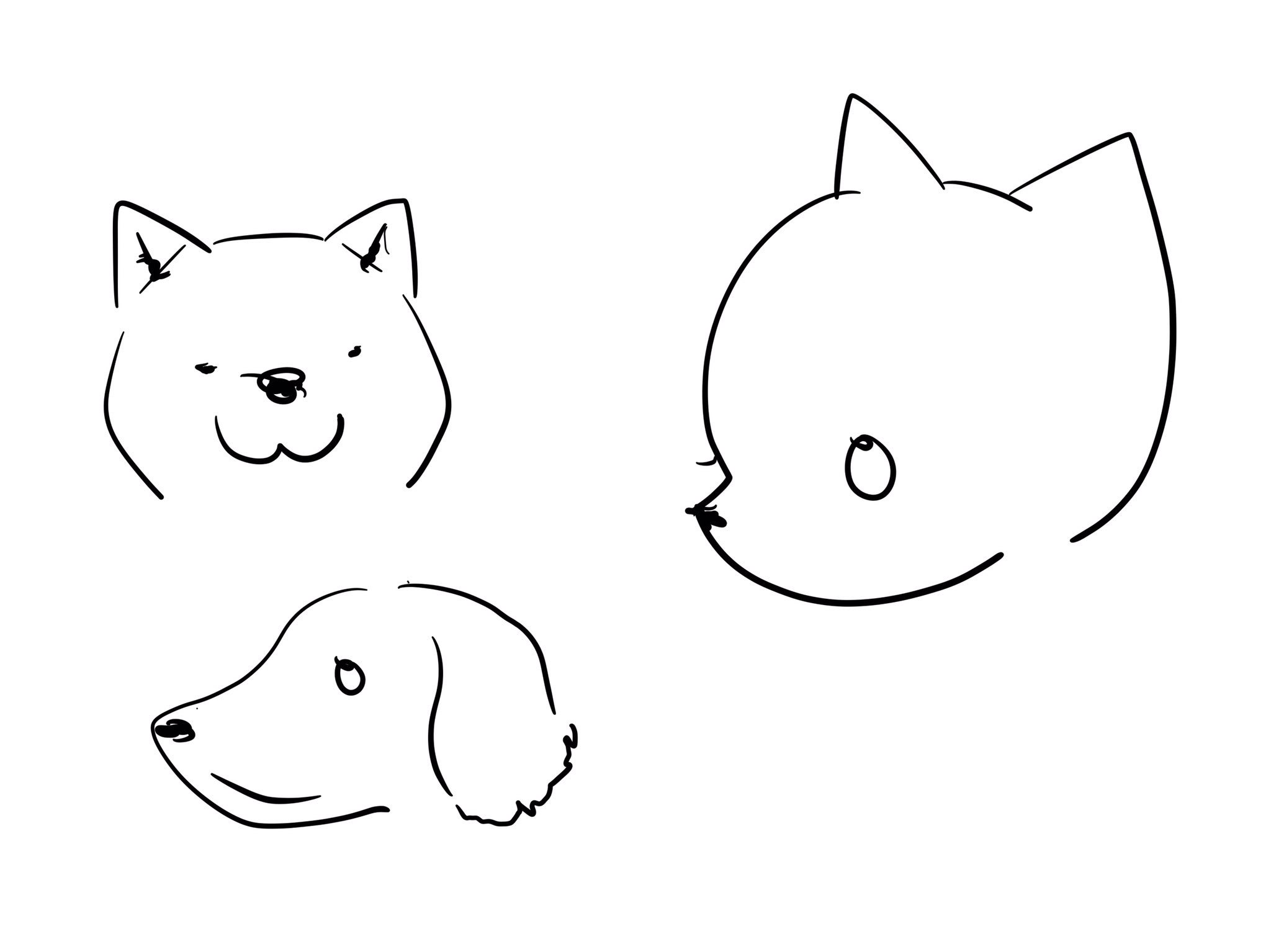 遠里 柴犬 チワワ ダックスフンド わんこ イラスト Illust Illustration メディバンペイント T Co Dufyuymovg Twitter