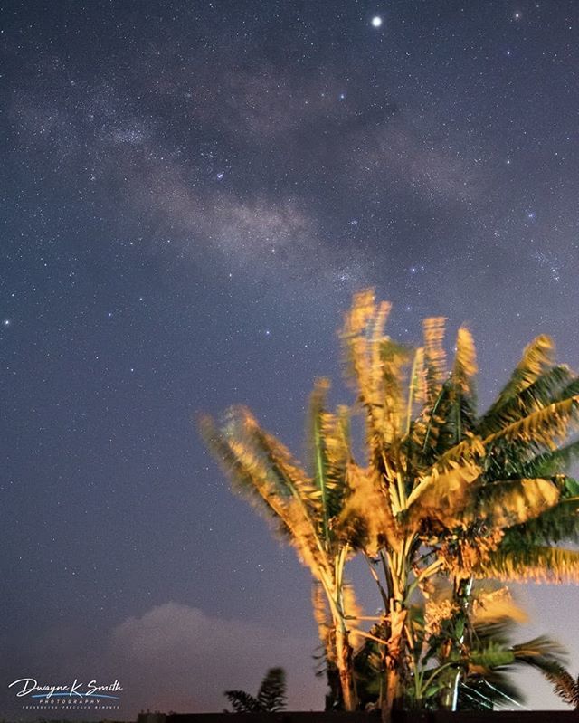 Plantain trees wave hi as the galactic core journeys by
.
.
.
.
.
#landscapephotography #landscapelover #landscape #astro #astrophotography #astrojamaica #dksmithphotoz #dwayneksmithphotography #galacticcore #milkywaychaser #milkywaypics #milkyway #star… https://t.co/wDjkw5OjtB https://t.co/pvILx8M0Sa