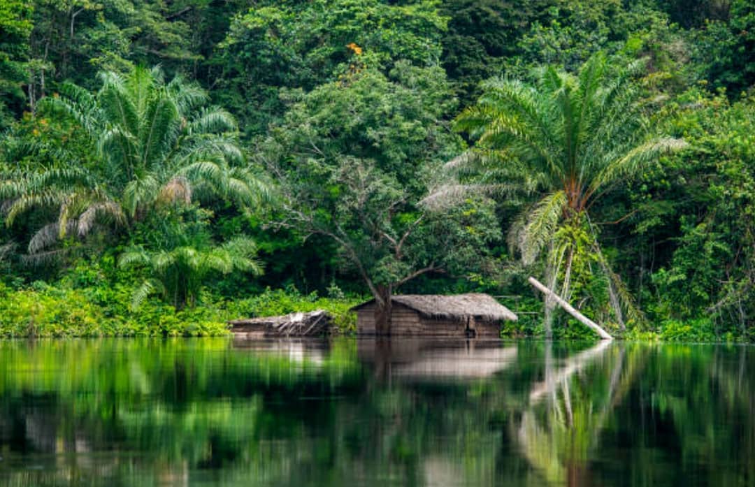 AzzureNature's tweet photo. Image du jour: une cabane sur le rivage du fleuve congo https://t.co/0s4ER73D8P
Si vous n'avez jamais visité le Congo, faites-nous confiance. c'est un pays à visiter absolument
#VisitezleCongo #AzzureNature #ParadisTerrestre https://t.co/X6ojWNiBEp