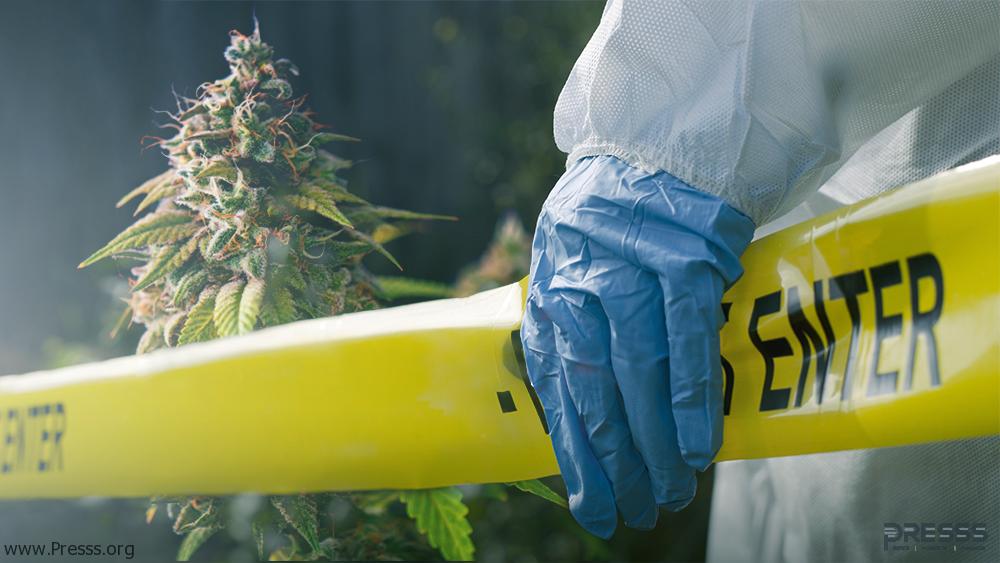 PressFinance's tweet photo. Non-compliance order at second CannTrust facility seen affecting near-term ability to resume sales

CannTrust’s stock took another major hit on Monday after the embattled cannabis producer disclosed it had received a second non-compliance rating from  #ca https://t.co/YZjM6D2yCo https://t.co/L5QypFKrWU