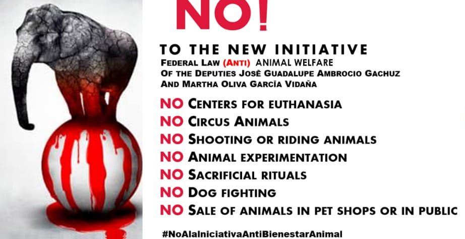 chanelchole's tweet photo. #NoAlaIniciativaDeAntiBienestarAnimal @UNESCO @UN @PaulMcCartney @AlecBaldwin @iansomerhalder @LeoDiCaprio @pamfoundation @Peter_Dinklage @EthelFrida #AnimalsNeedHelp animals in México are in danger we need help to be able to save them @JUSTICIANIMA @prensaanimal4 #AnimalRigths https://t.co/9rhXEcRGz9