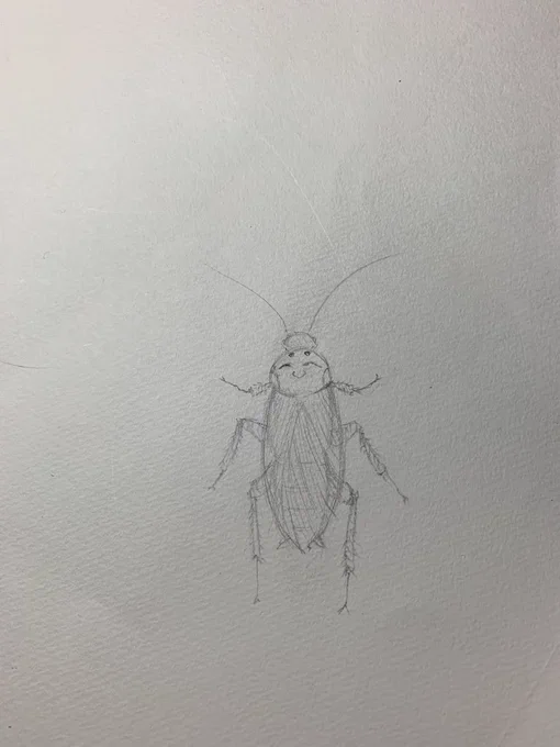 この差なんなの〜笑   