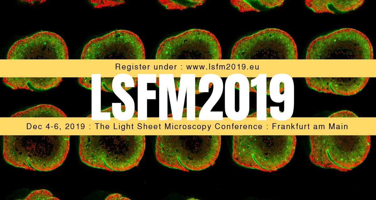 LSFM4LIFE tweet media