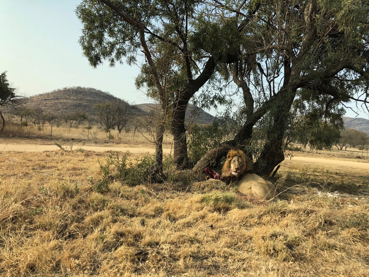 DavidSweenor's tweet image. Some of the local sites in Jo’Burg South Africa ⁦@TIBCO⁩ #TechSoft Innovation Day. ⁦@shawnrog⁩ ⁦@derekbirdsong⁩