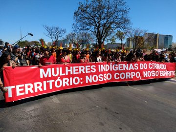 Ver imagem no Twitter