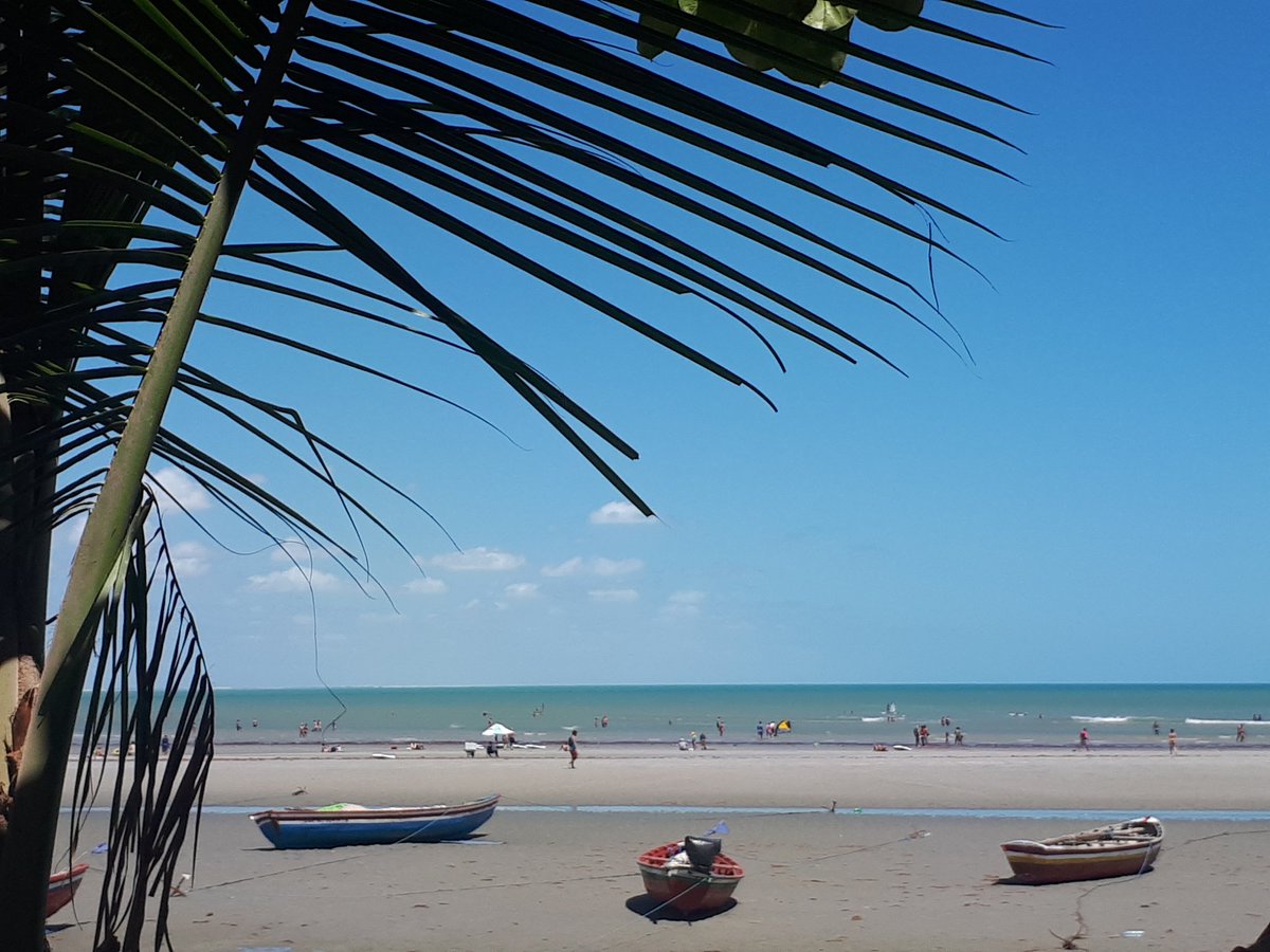 Simona_Ti's tweet photo. Maré baixa..🌞🌴🇧🇷
#travel #tourism #sea #beach
#Jericocoara #Brazil https://t.co/FdvGncggSt