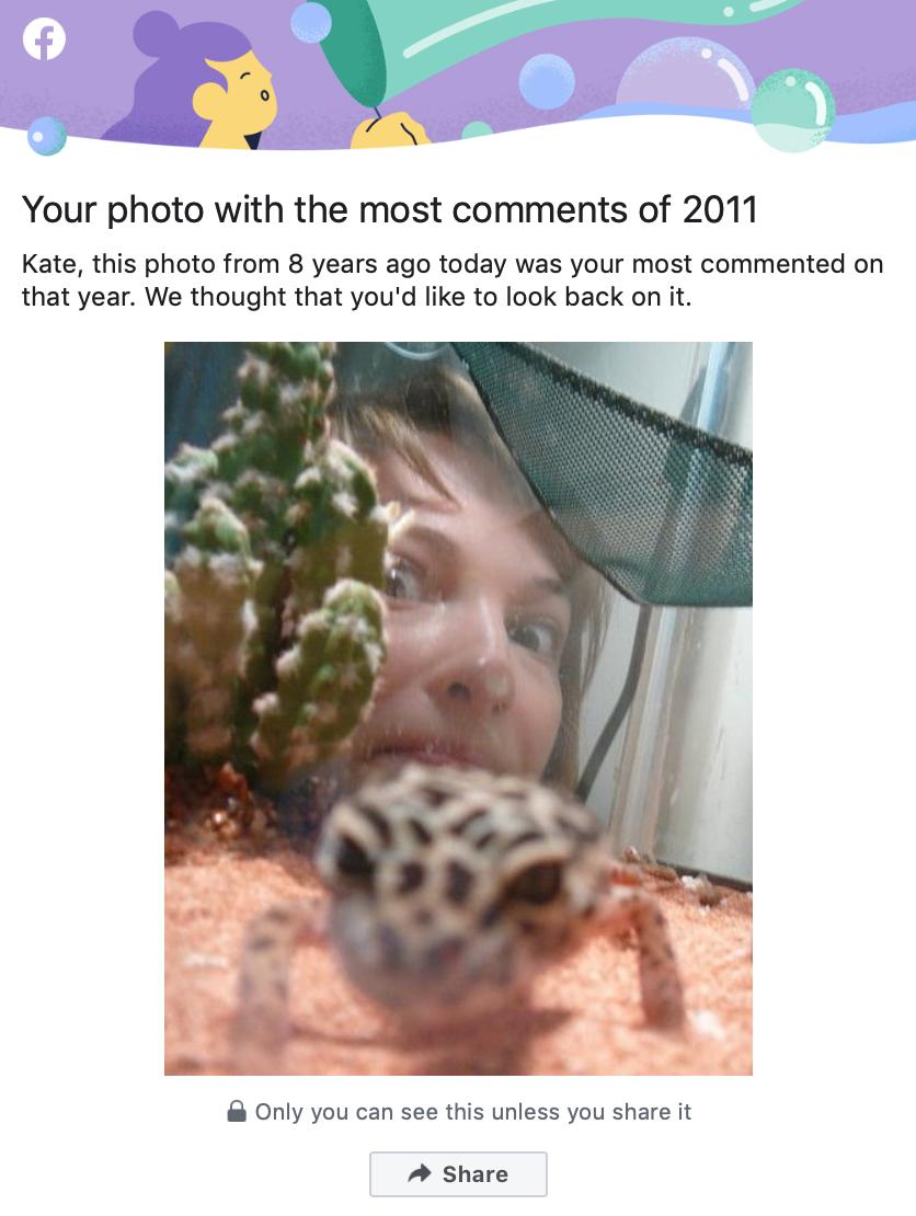 Ah, but that's where you're wrong, Facebook. I did not particularly wish to look back on it.