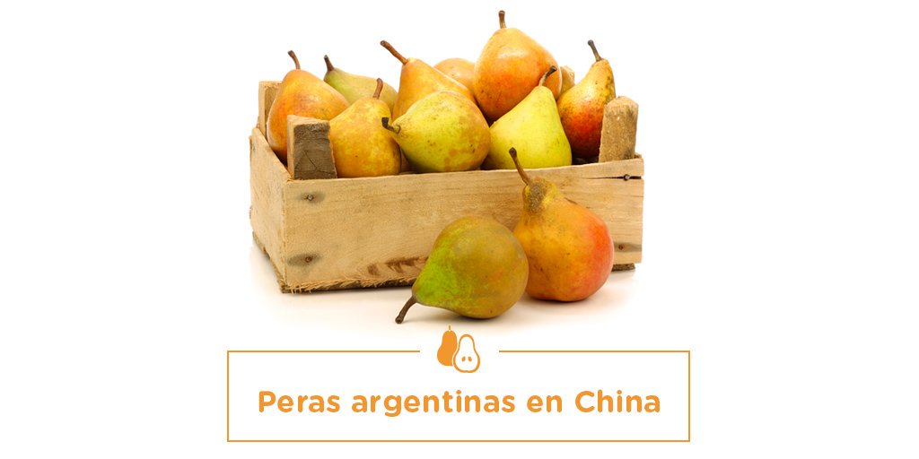 redcame's tweet photo. Cinco contenedores con peras del Alto Valle de Río Negro llegaron a China, en el primer embarque de esas frutas que ingresan al mercado asiático. El envío de estos 30.000 kilos de peras marca un precedente en la apertura comercial de la fruta del Alto Valle al mercado mundial. https://t.co/LA2RUK98S3