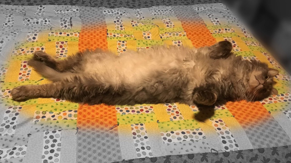 KayloX's tweet photo. Meet my real-life magical kitty! 

Name: Baninganis
Talent: Forbearance
Magical Power: Empathy
Flaw: No respect for game state

#MagicalKitties @atlasgames https://t.co/77SQQ7J1kz