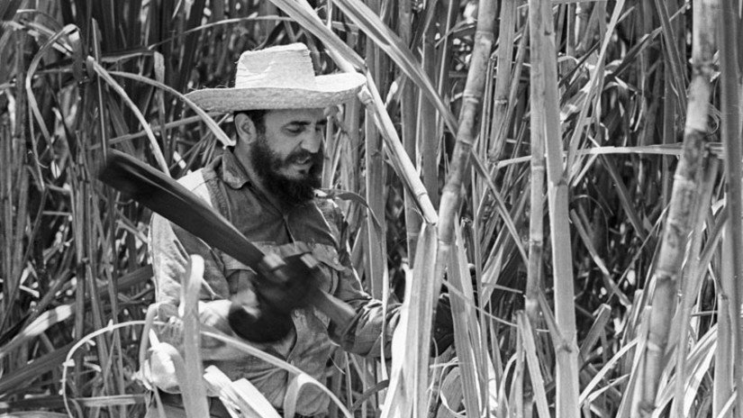 MinagCuba's tweet photo. #FidelVive en cada agricultor, pequeño campesino porque luchó para ellos, para que tuvieran su propia tierra y no fueran explotados. Y ahí tenemos nuestra Ley de Reforma Agraria, ahí está nuestro Plan Turquino. #FidelPorSiempre https://t.co/kWwVrpn0Cf