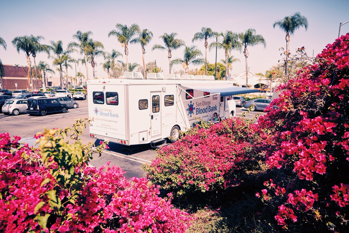 GrossmontCenter's tweet photo. Grossmont Center partners with the San Diego Blood Bank for community blood drives every month at the #ShopLocalMarket! Catch them on the last Saturday of every month to shop local and give back. ❤️ ✨ #GCGivesBack #ShopLocal #OthentikMarket #SanDiegoBloodBank #GiveBlood https://t.co/ZPbxAQQDnD