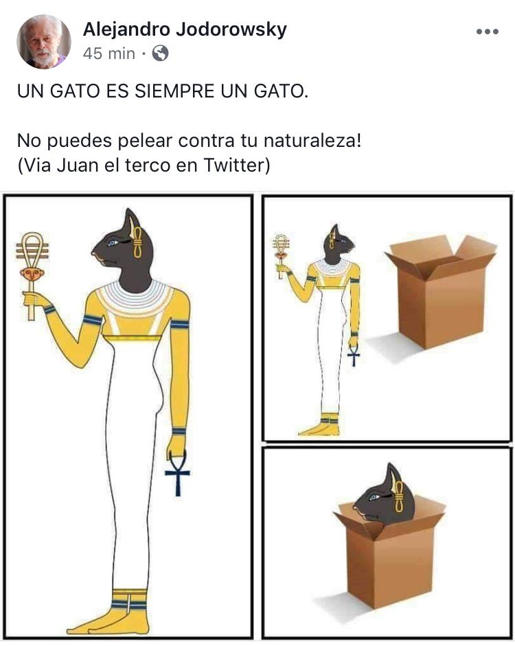 RobertoFGallo's tweet photo. ¡Me robé esta imagen porque me pareció genial y me hizo recordar a ese tan singular personaje! #LadyProtocolo

Aunque se vista de traje (el único que tiene), aunque se arrastre con las de arriba👆🏼, aunque sea un lambiscón

EL GATO SIEMPRE SERÁ UN GATO 🤷🏻‍♂️

#AndreaVizarra https://t.co/RcGLeBlgZu