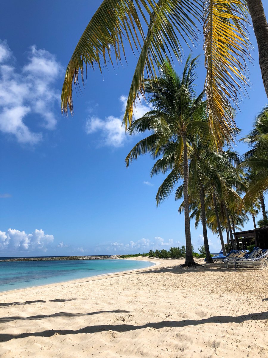 TheCoveAtlantis's tweet photo. Palm trees, ocean views, August days...forever summer, forever The Cove #SummerOfCove #TheCoveAtlantis #AtlantisBahamas https://t.co/0XnZtFzNK8