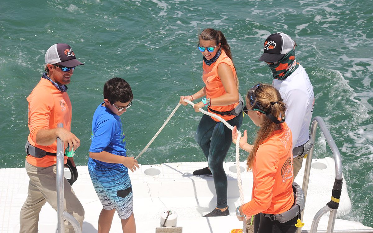 discoveryfamily's tweet photo. Take a deep dive into ocean life! Head over to the Discovery Family GO app to check out the #SharkDaysofSummer π¦ shorts π±β‘οΈ https://t.co/NqhUu4HXwZ. https://t.co/uE0REWNwbc
