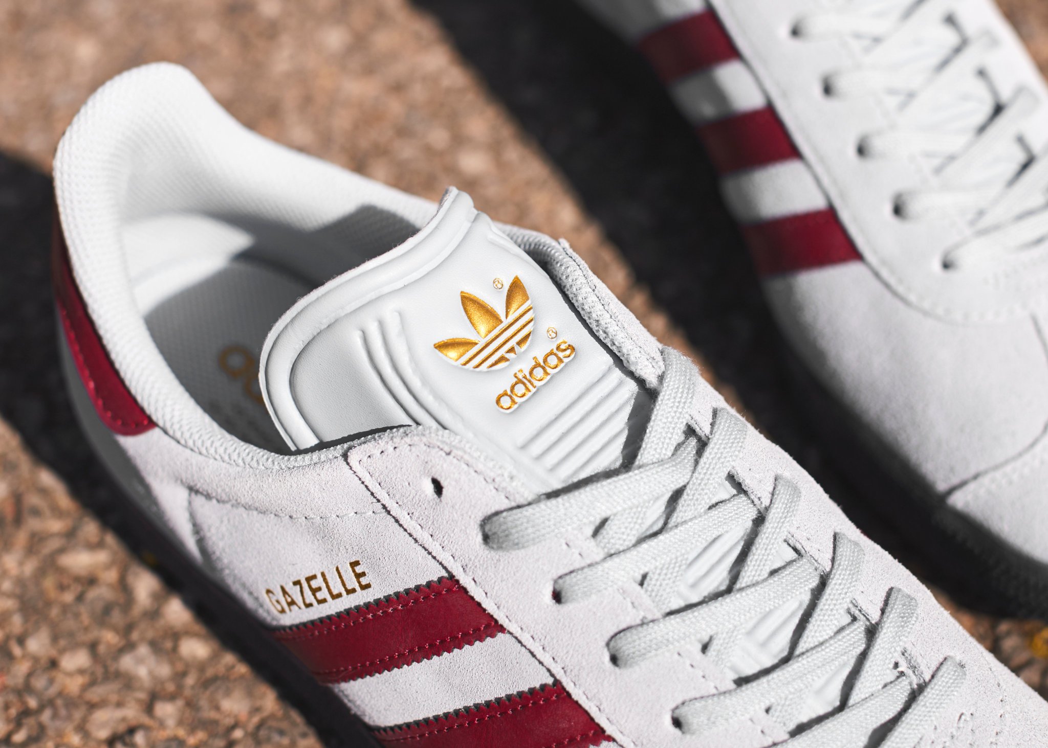 scotts gazelle
