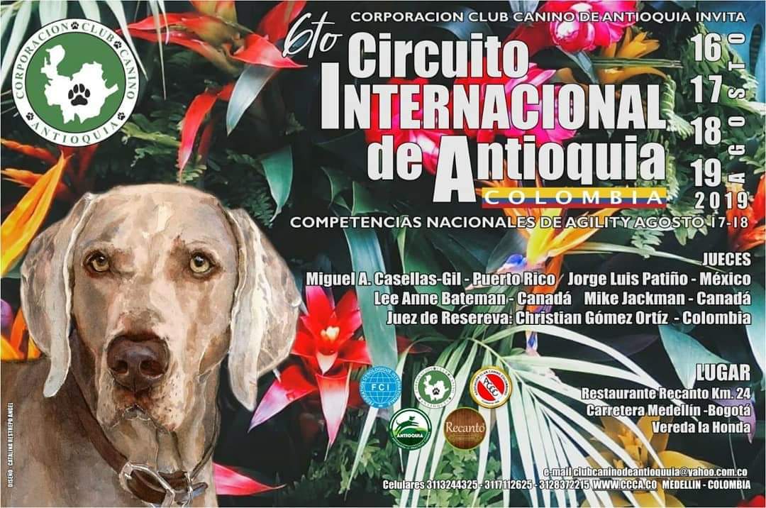 andrespastores's tweet photo. Disfruta de un evento  para toda la familia en el restaurante Recanto. ¿No sabes cómo llegar?⬇
https://t.co/cFRbSjn4La
 #exposicionescaninas #eventos #guarne #eventosorienteantioqueño #perro #dog #dogshow #showdog #clubcanino #ccca #kennelclub #clubcaninoantioquia #circuitoccca https://t.co/6M1r6aZnPZ