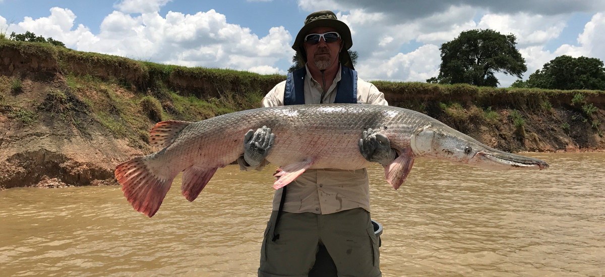 From Aug. 15- Sept. 30, anglers can enter an online drawing for the opportunity to harvest one #AlligatorGar over 48 inches from a section of the Trinity River. Learn more about the drawing &amp; other new gator gar regulations going into effect Sept. 1 here: bit.ly/TrinityGarHarv…