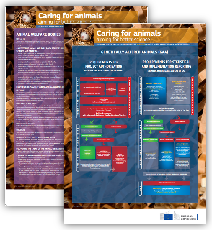 SLouhimies's tweet photo. Time to give some colour to the office walls and motivate those returning from holidays! Download our latest posters on #AnimalWelfareBodies and handling of #GeneticallyAlteredAnimals under #Dir201063 see https://t.co/xBwQArBwbN #3Rs #AWB https://t.co/PiTZWLEksi