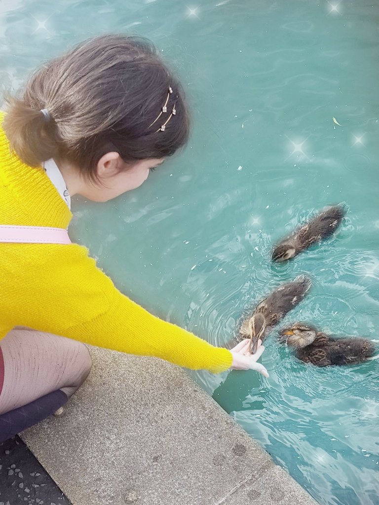 andthe9ners's tweet photo. the baby ducks lemme handfeed them and their lil beaks were so gentle 🌈💗 https://t.co/HNTQvbfIn7