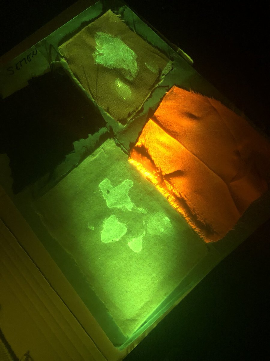 spudrozzer1's tweet photo. #BlackOutTent #LightShow #DFO #ArchaeologicalBone #Semen #Saliva #CoperTree #Forensics #IAI https://t.co/BDwAe3JCkK