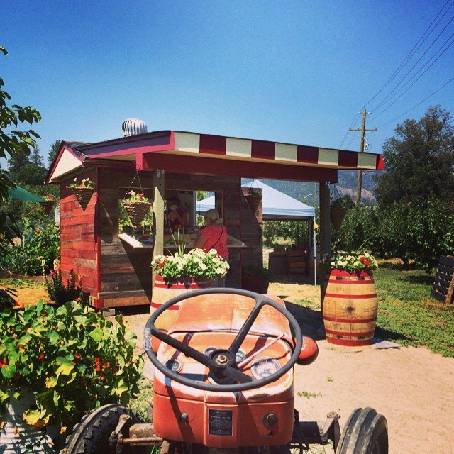 TheFarmLoop tweet picture