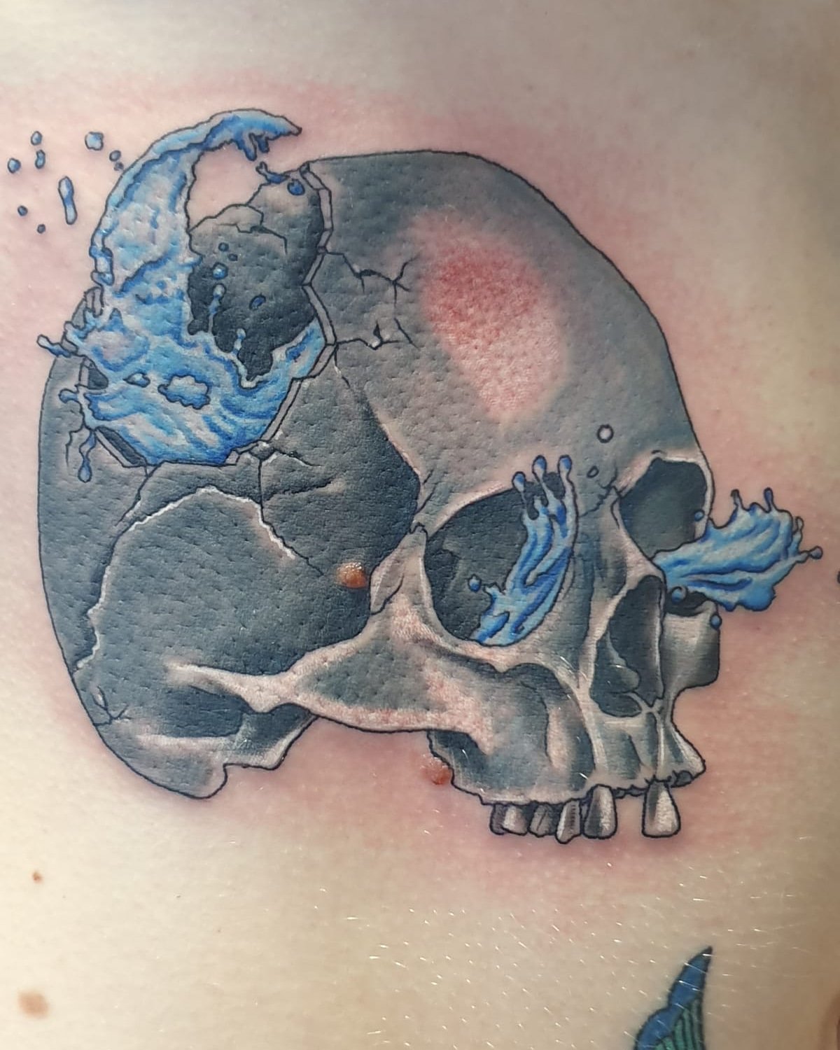 Blue tattoo skull graphics art Royalty Free Vector Image