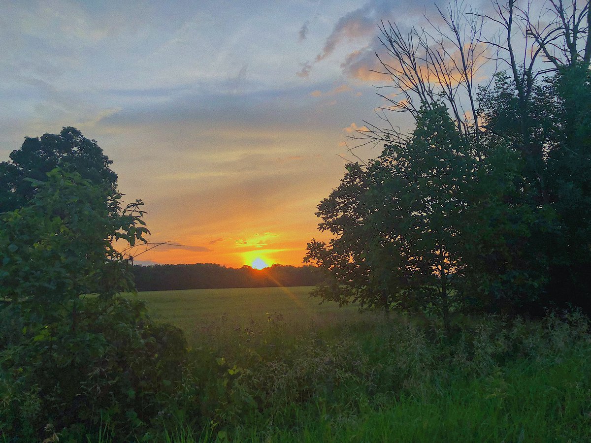abaegail7's tweet photo. #PureMichigan Sunsets. https://t.co/l0Th0dv3Pw