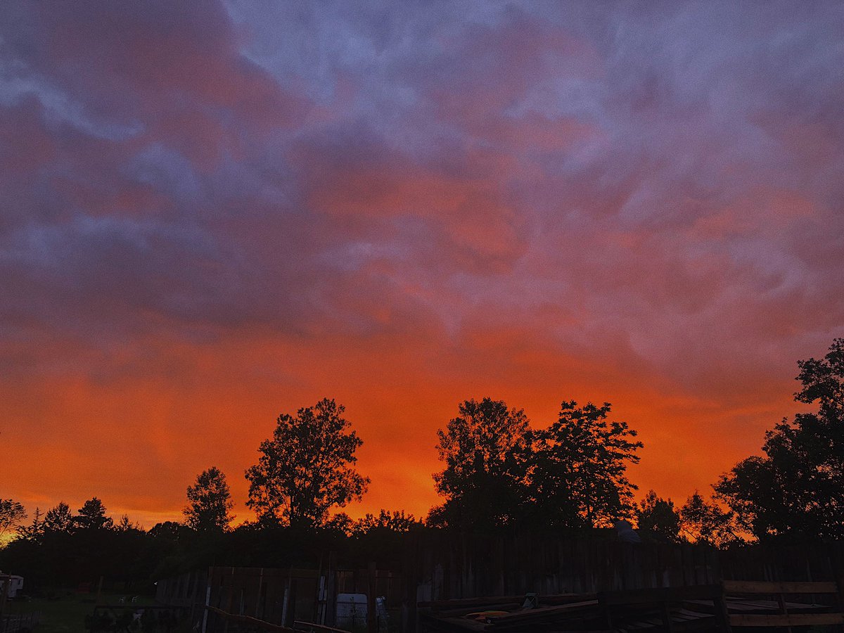 abaegail7's tweet photo. #PureMichigan Sunsets. https://t.co/l0Th0dv3Pw