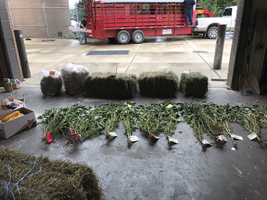 CHHSFFA's tweet photo. Getting our FFA members state fair entries ready. @kystatefair https://t.co/vuFohlN5kO