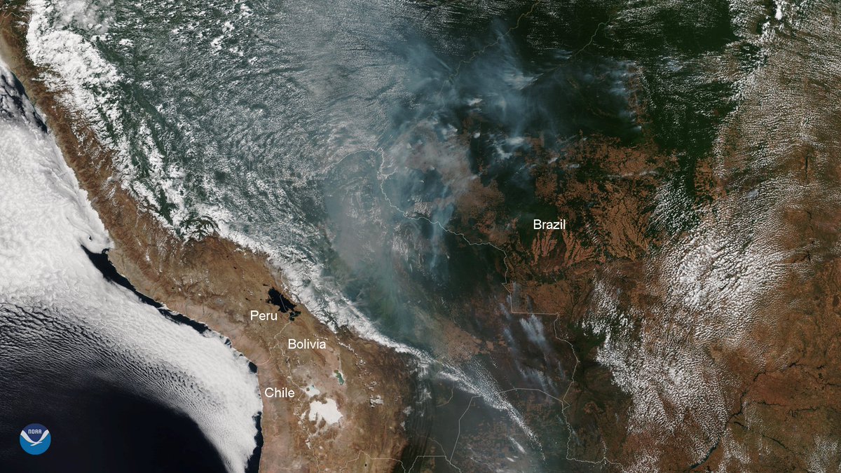 NOAASatellites's tweet image. #Smoke from fires in the #Amazon rainforest, clearly seen by #NOAA20, is absorbing sunlight and cooling the ground while heating the atmosphere. This process is suppressing the formation of clouds. 
Learn more: go.usa.gov/xVchs
