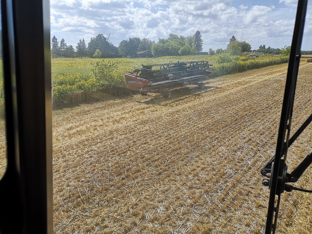 Jon Blydorp tweet media