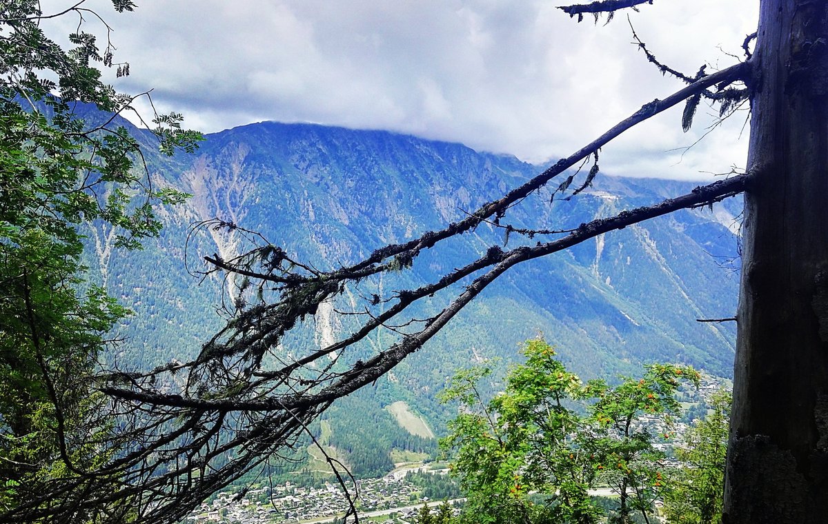 XperienceCham's tweet photo. ๐๐
#chamonix #mountainlife #lunchbrake #hike #trailrunning #freshair #mountains #alps #alpit #montblancmassif #hautesavoie #forrestlife #lifeisoutdoors #adventures #travel #explorevictoria ๐ #xcchamonix https://t.co/ZgRZ7KBZEB