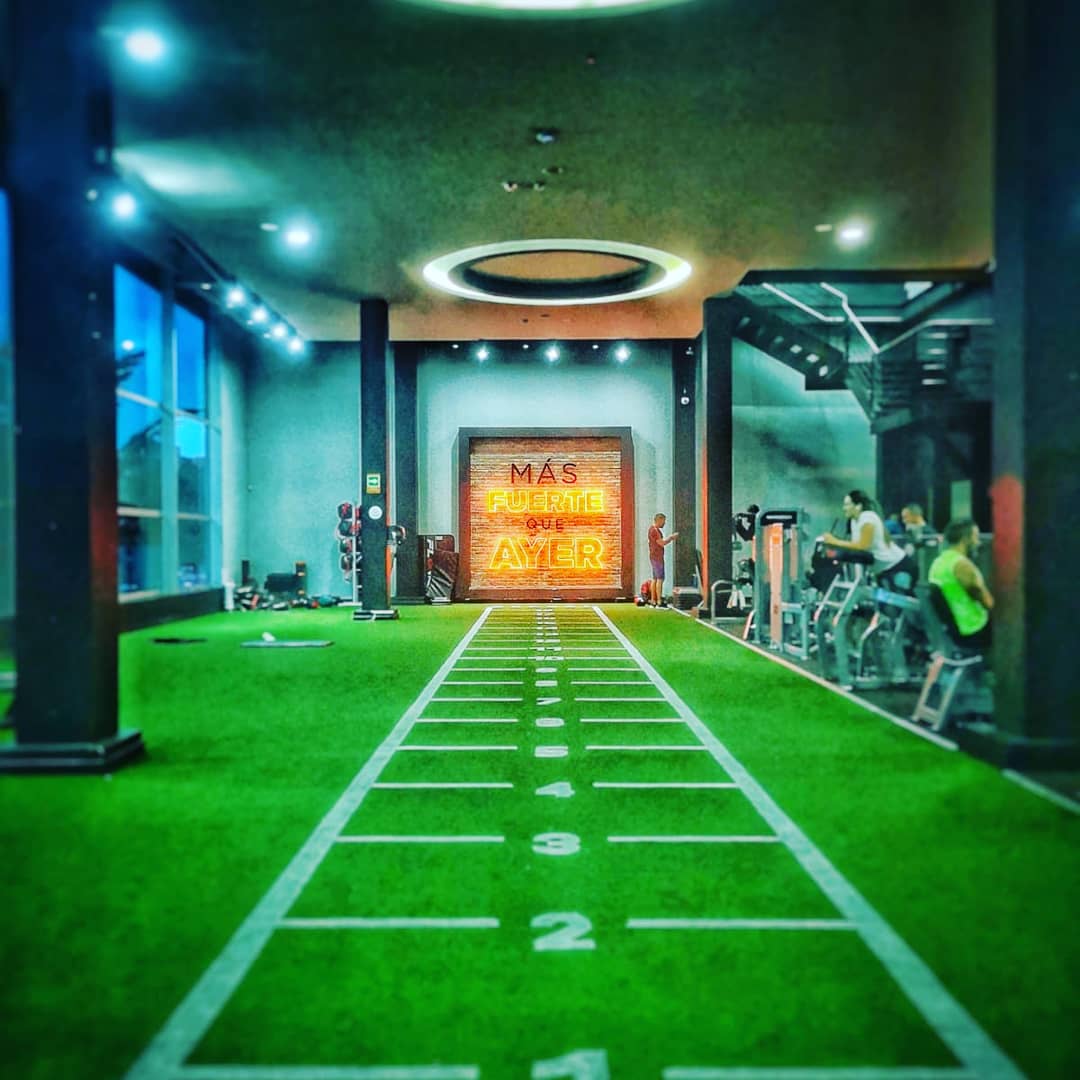 Viviana_Delsol's tweet photo. "Stronger than yesterday!" 

With a healthy lifestyle, everything is possible! 

Eat #healthy, #workout and #meditate everyday! 

With @benjamin_delsol , we are here to help you!

#mindset #motivation #inspiration #selfevolution #success #nutrition #discipline #TheHuntersWay https://t.co/fd76O5jWnK