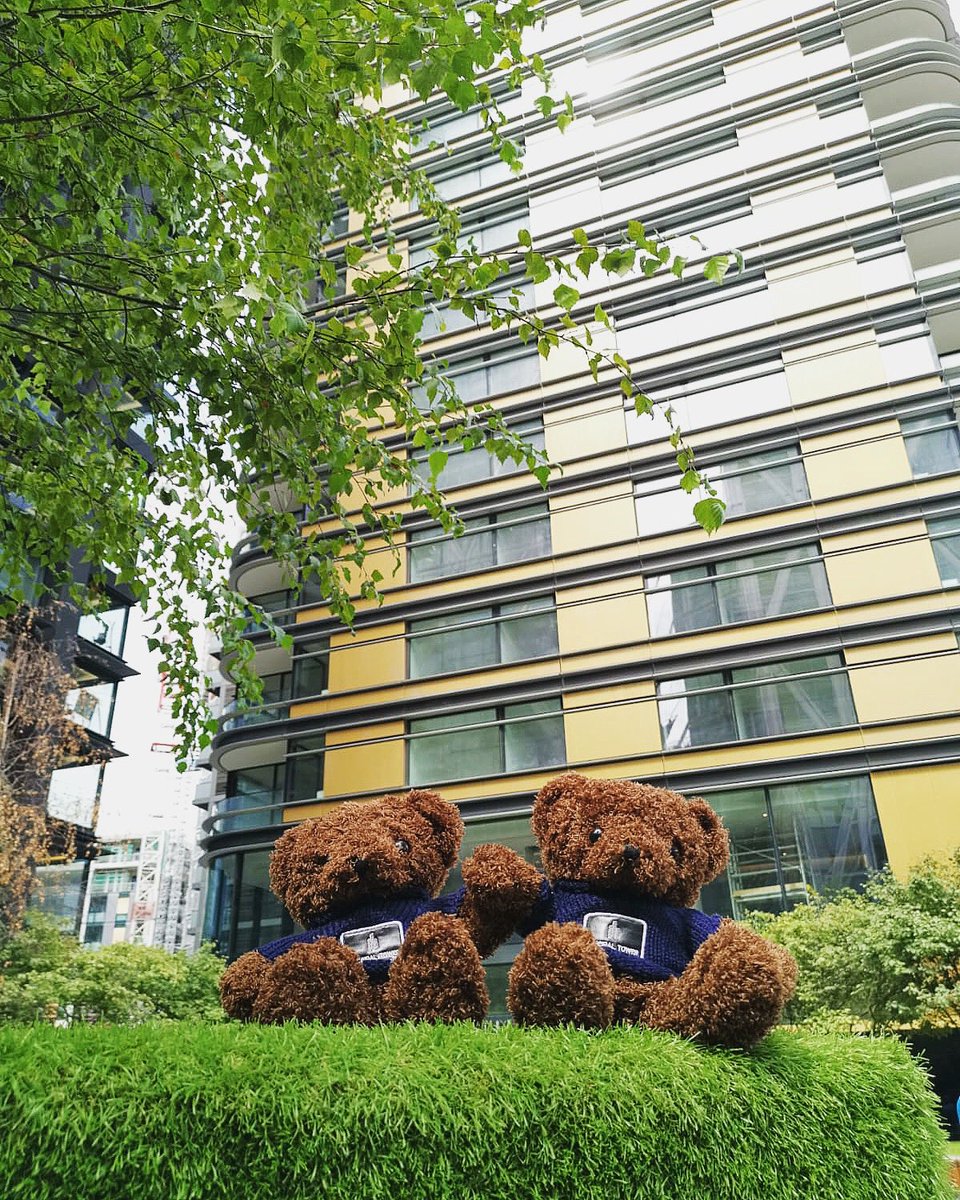 Just another day for Principal Tower Teddy bears to relax in Principal Place Park 🧸😊🌿🌿
