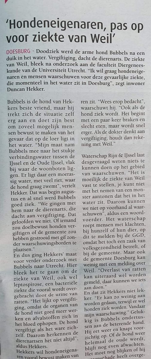 archatoz's tweet photo. 'Hondeneigenaren, pas op voor de ziekte van Weil! 

#Doesburg #ddnl #RTaub https://t.co/JxxRHUH4TN